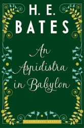 An Aspidistra in Babylon - Bloomsbury Cover
