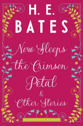 Now Sleeps the Crimson Petal - Bloomsbury Cover